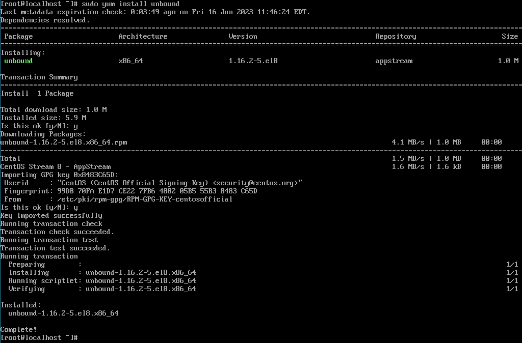 Setting up a recursive DNS server.